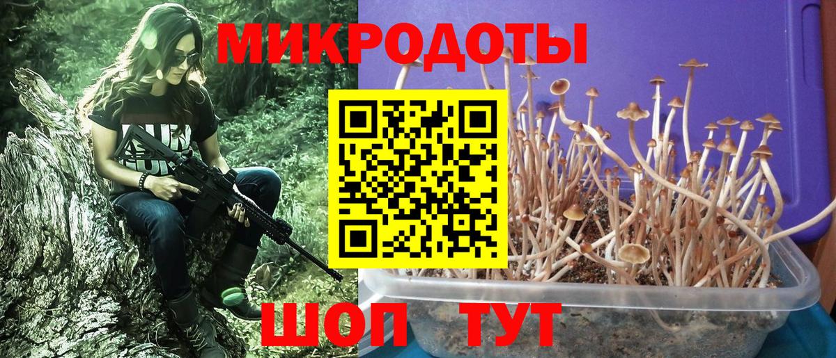 Луховицы  Псилоцибиновые грибы Psilocybe  Вход с VPN 